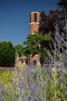 Der runde Turm der Dreieinigkeitskirche spitzt hinter Gräsern und Bäumen hervor